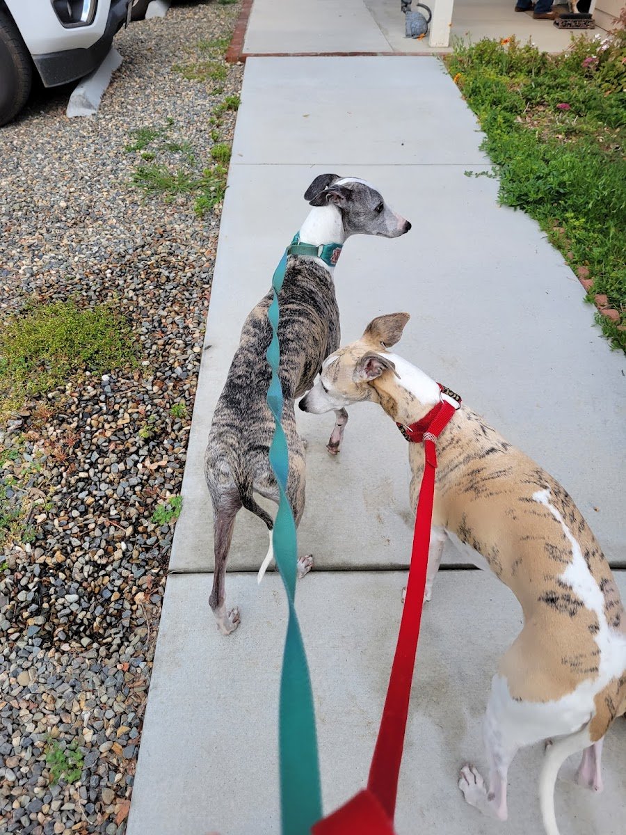 Fresno Pet Pleasure - Photo 2