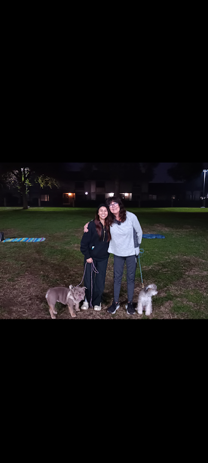 Peacemaker Dog Training