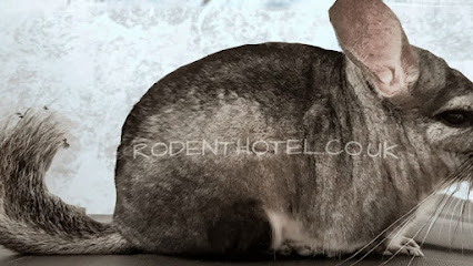 Twiglets Rodent Hotel