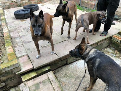 REKSIO K9 CARE&TRAVEL LIMITED