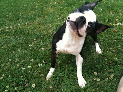 Animal Compassion Team