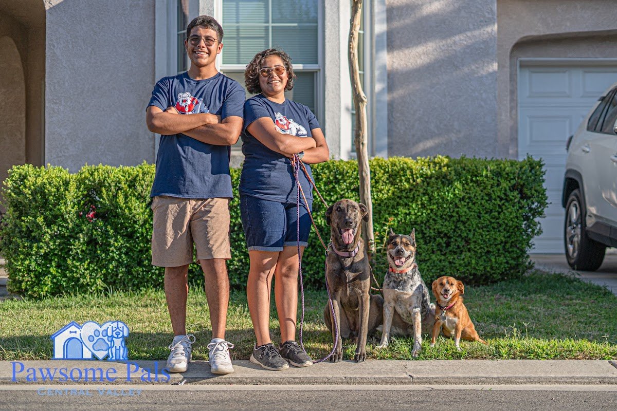 Pawsome Pals Central Valley - Photo 2