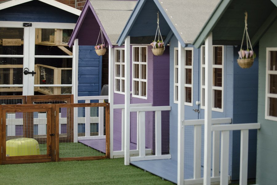Raybrook Pet Lodge - Photo 2