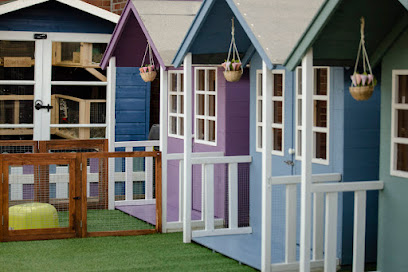 Raybrook Pet Lodge - Swindon