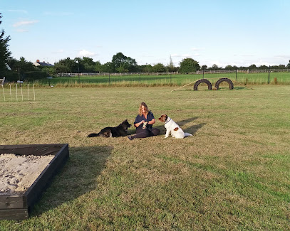Paddys Pawfect Paddock - Swindon