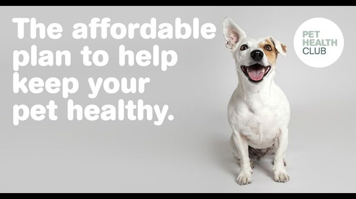 Archway Veterinary Surgery - Photo 2