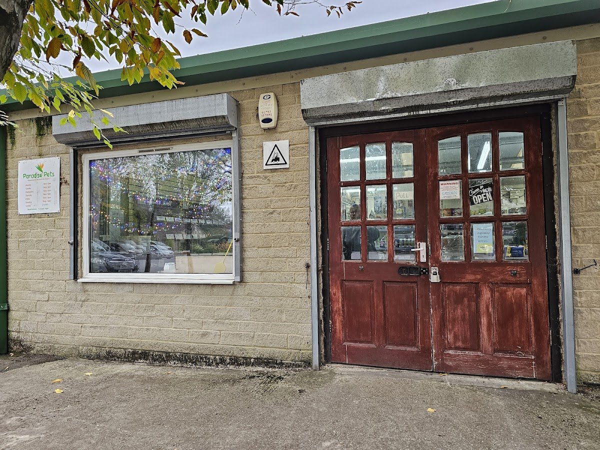 Paradise Pets Ltd - Photo 2