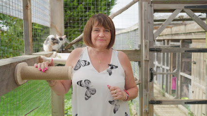 Bryonyhill Cattery & Cat Grooming Services - Pet Shop in Swindon
