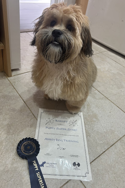 Abbey Dog Training - Pet Shop in Swindon