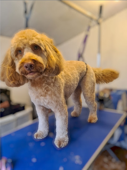 Lily's Grooming Services - Pet Shop in Swindon