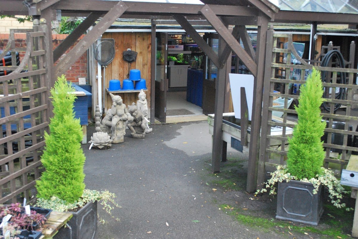 The Water Garden - Photo 2