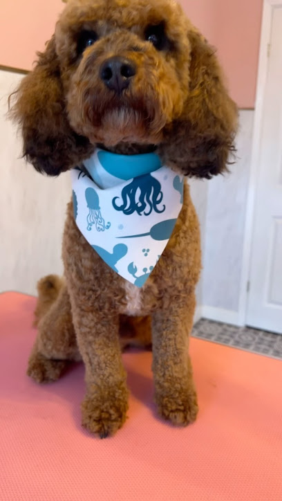 Pupluxe Grooming Lounge - Pet Shop in Swindon