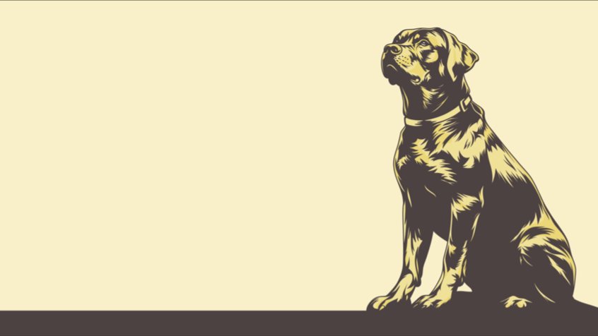 Carl John Canine Academy - Photo 2