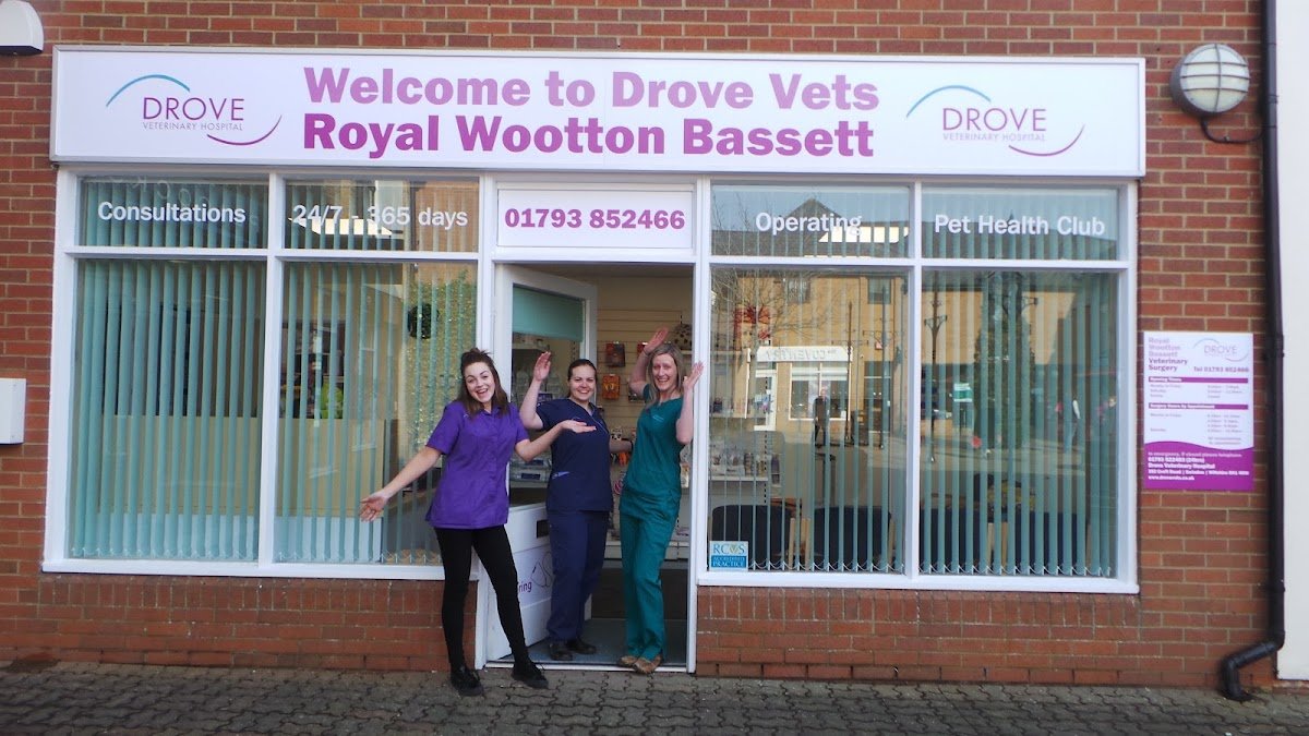 Drove Vets Royal Wootton Bassett - Photo 2