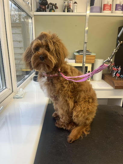 Muddy Puddles Dog Grooming - Pet Shop in Swindon