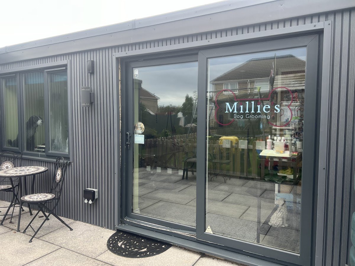 Millie’s Dog Grooming - Photo 2