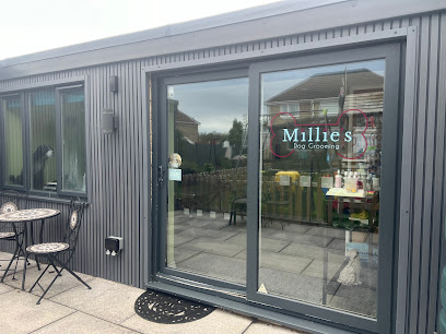 Millie’s Dog Grooming - Pet Shop in Swindon
