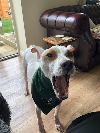 Vets4Pets - Swindon - Pet Shop in Swindon