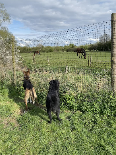 k9 confidential - Pet Shop in Swindon