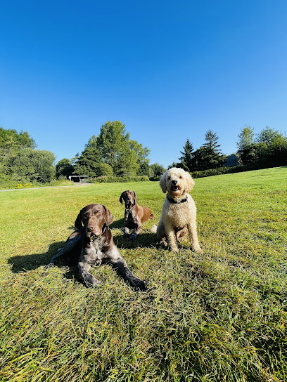 Badbury Pet Adventures - Pet Shop in Swindon