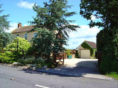 Goldborough House Kennels & Cattery - Pet Shop in Swindon