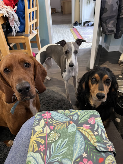 Pawsome Pooches - Pet Shop in Swindon