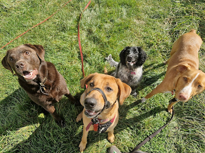 Katie's K9's - Pet Shop in Swindon