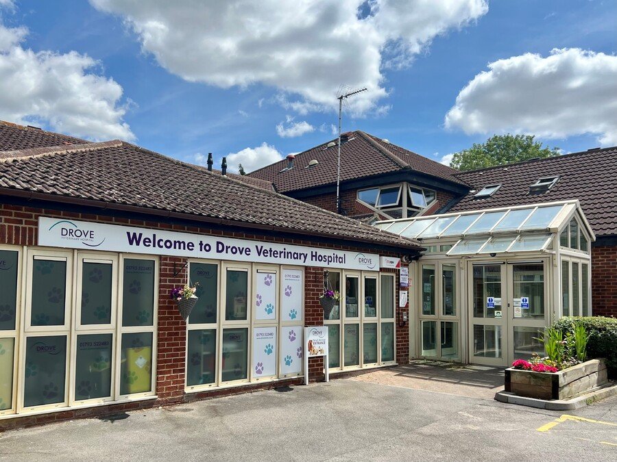 Drove Veterinary Hospital | Swindon - Photo 2