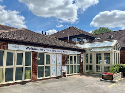 Drove Veterinary Hospital | Swindon - Pet Shop in Swindon