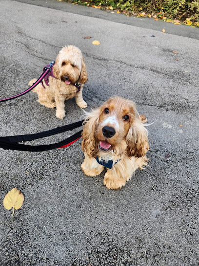 walksandwhiskers by tracy - Pet Shop in Swindon