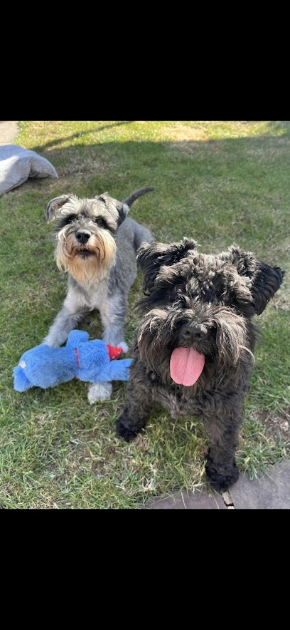 Paws For a Moment-Faringdon - Pet Shop in Swindon