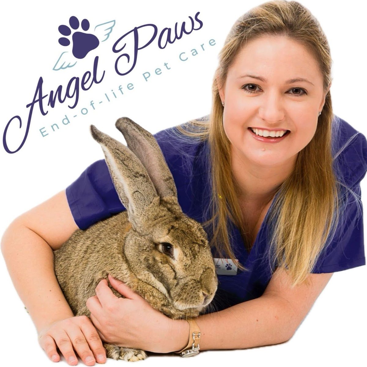 Angel Paws - Photo 2