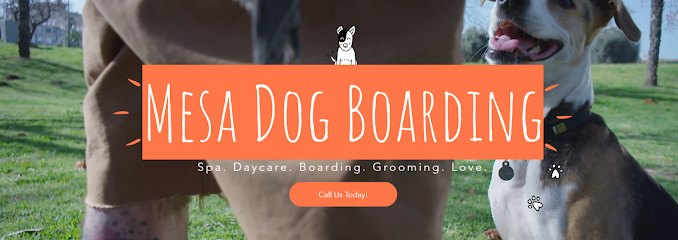 Mesa Dog Boarding