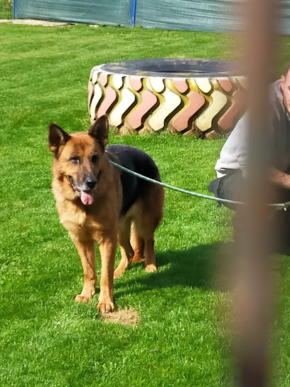 Droveway Kennels - Pet Shop in Swindon