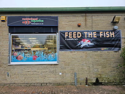 Maidenhead Aquatics Swindon - Pet Shop in Swindon