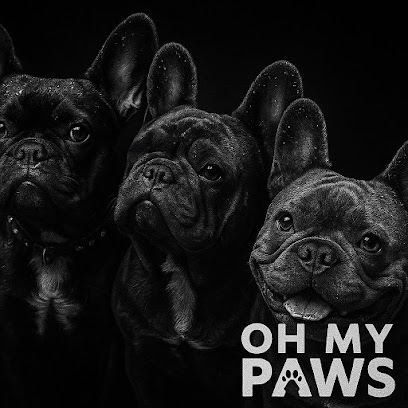 Oh My Paws Dog Boutique & Spa - Pet Shop in Swindon