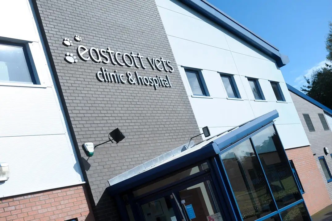 Eastcott Veterinary Referrals - Photo 2