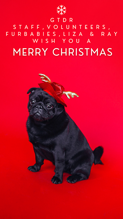 Ghost Town Dog Rescue