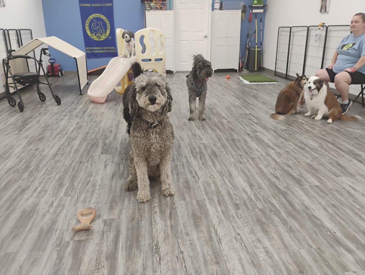 Zona K9 PlaySchool &. Grooming - Photo 2