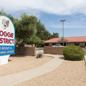 Doggie District - Mesa