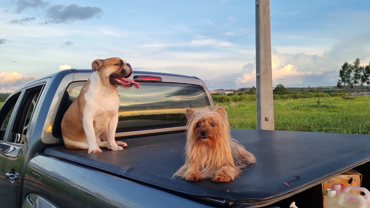 Casa do Veterinário - Pet Shop em Paranavaí