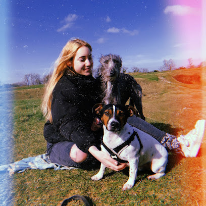 Little and large pet care services - Pet Shop in Swindon