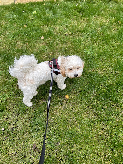 Swindon Pet Sitting - Pet Shop in Swindon