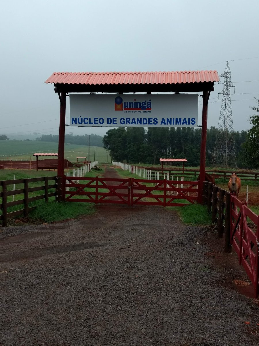 Nucleo Veterinario Uninga - Pet Shop em Maringá