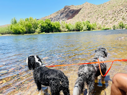 Honey Paws Pet Care LLC