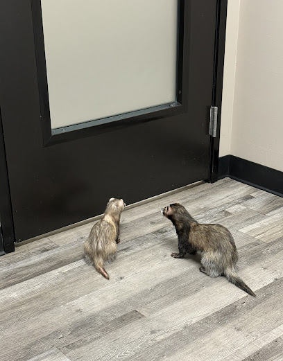 Arizona Exotic Animal Hospital: Johnson Jay DVM