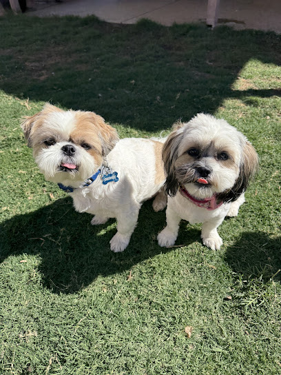 Pooch Paradise Daycare and Boarding
