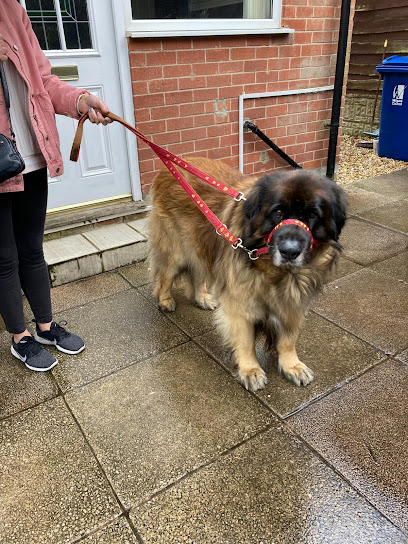 Neetas pet sitting - Pet Shop in Warrington
