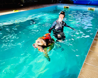 Splash an Approved Hydrotherapy & Pleasure Pool for Dogs
