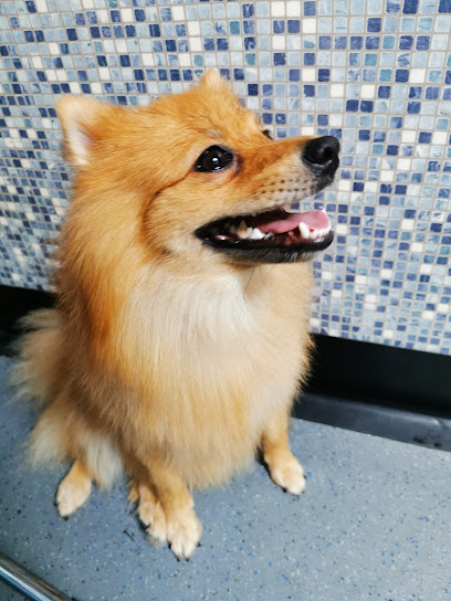 Dial a Dog Wash - Pet Shop in Warrington